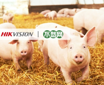 客戶案例丨AI助力智慧豬場，讓養(yǎng)殖者不再愁